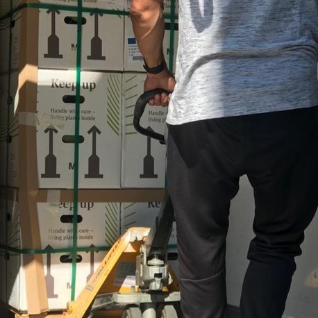 Réception des plants