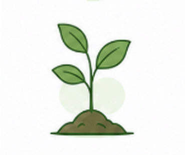 plantation des paulownias